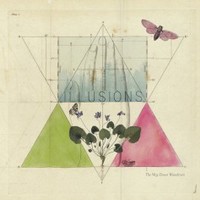 The Way Down Wanderers, Illusions