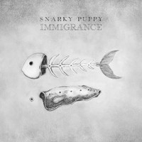 Snarky Puppy, Immigrance