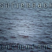 Shriekback, Cormorant