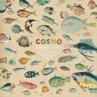 Cosmo Sheldrake, The Much Much How How and I