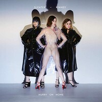Sleater-Kinney, Hurry On Home