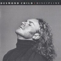 Desmond Child, Discipline