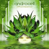 Androcell, Efflorescence