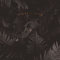 Old Salt Union, Where The Dogs Don't Bite