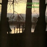 Cluster, Sowiesoso