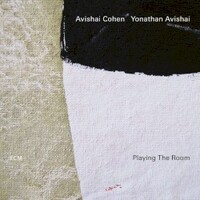 Avishai Cohen & Yonathan Avishai, Playing The Room