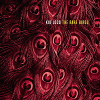 Kid Loco, The Rare Birds