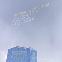 Reid Anderson, Dave King & Craig Taborn, Golden Valley Is Now