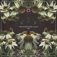 The Stargazer Lilies, Lost