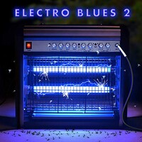 Various Artists, Electro Blues 2