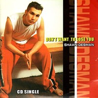 Shawn Desman, Don't Want To Lose You