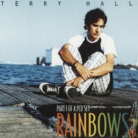 Terry Hall, Rainbows