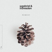 Gabriel & Dresden, Remedy