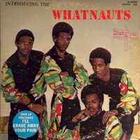 The Whatnauts, Introducing the Whatnauts