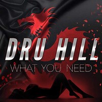 Dru Hill, What You Need