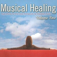 Fridirk Karlsson, Musical Healing, Vol. 2