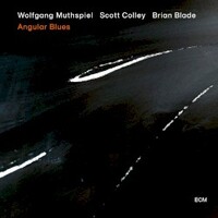 Wolfgang Muthspiel, Scott Colley & Brian Blade, Angular Blues