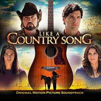 Various Artists, Like a Country Song