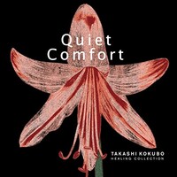 Takashi Kokubo, Healing Collection: Quiet Comfort