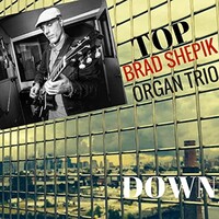 Brad Shepik Organ Trio, Top Down
