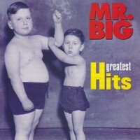 Mr. Big, Greatest Hits