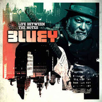 Bluey, Life Between The Notes