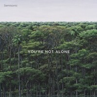 Semisonic, You're Not Alone