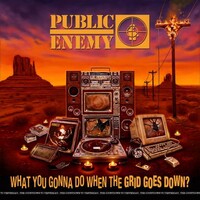 Public Enemy, What You Gonna Do When The Grid Goes Down?