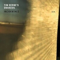 Tim Berne's Snakeoil, Incidentals