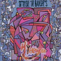 Siouxsie and the Banshees, Hyaena