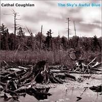 Cathal Coughlan, The Sky's Awful Blue