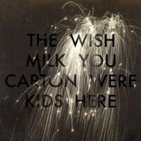 The Milk Carton Kids, Wish You Were Here