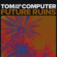 TOM and his Computer, Future Ruins
