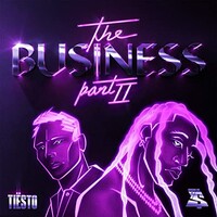 Tiesto & Ty Dolla $ign, The Business, Pt. II