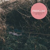 Phoxjaw, A Playground for Sad Adults