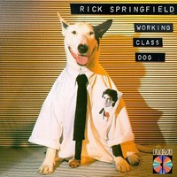 Rick Springfield, Working Class Dog