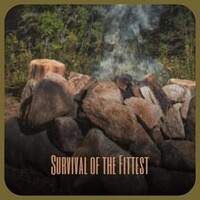 Various Artists, Survival of the Fittest