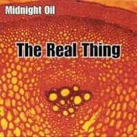 Midnight Oil, The Real Thing