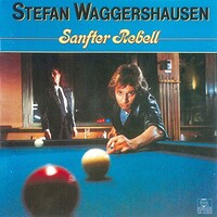 Stefan Waggershausen, Sanfter Rebell