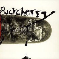 Buckcherry, 15