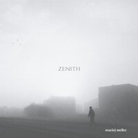 Maciej Meller, Zenith