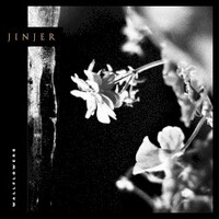 Jinjer, Wallflowers