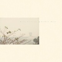 Wild Nothing, Golden Haze