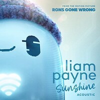 Liam Payne, Sunshine