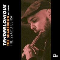 Tenderlonious, The Shakedown (featuring The 22arkestra)