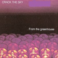 Crack the Sky, From the Greenhouse