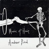 Andrew Bird, Music of Hair