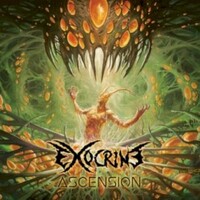 Exocrine, Ascension