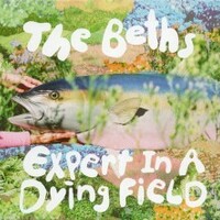 The Beths, Expert In A Dying Field