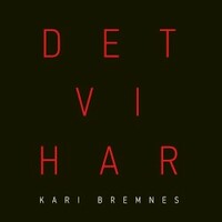 Kari Bremnes, Det Vi Har